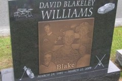 blackgranite_with_bronze