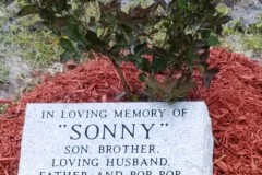 Coastal Carolina State Veteran Cemetery tree memorial